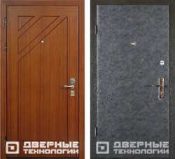 Металлическая дверь МДФ ДШ-1